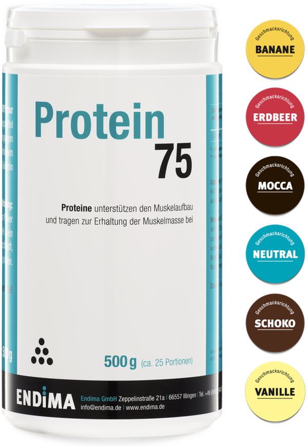 Protein 75, 500g